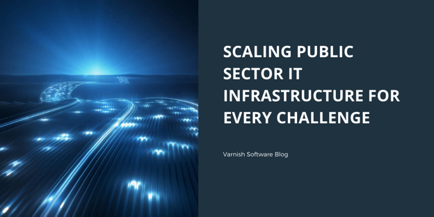 IT_public_sector