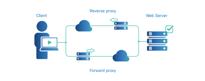 What is a Reverse Proxy Server, Reverse vs. Forward Proxy, CDN Guide