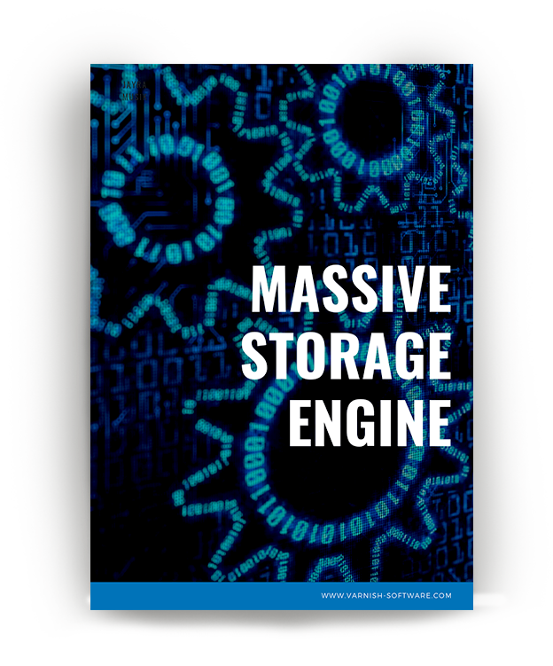 Massive Storage Engine