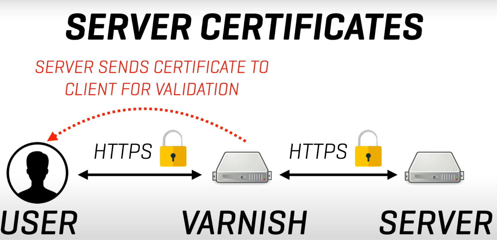 Server Certificates