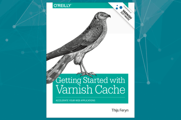 Thijs blog_Getting started w Varnish.png