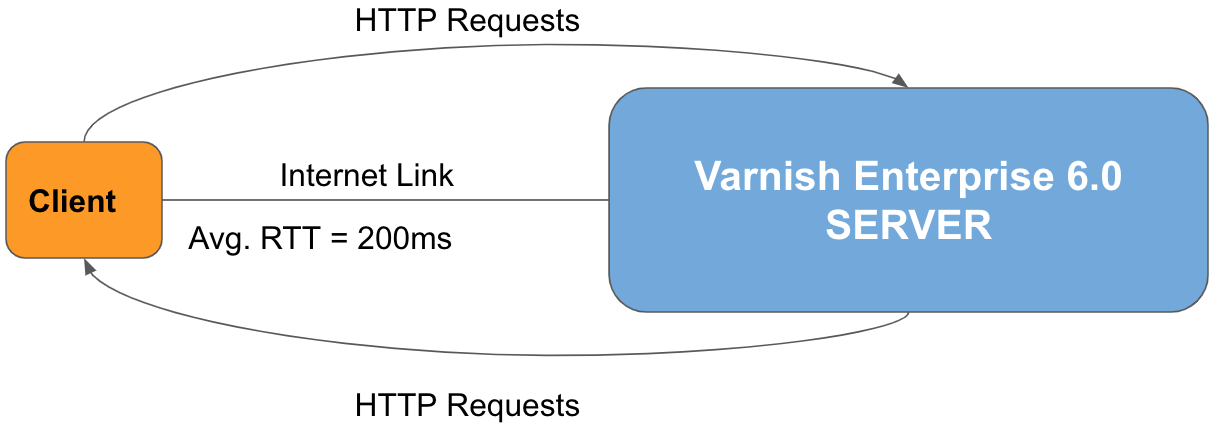 Varnish Enterprise 6.0 server