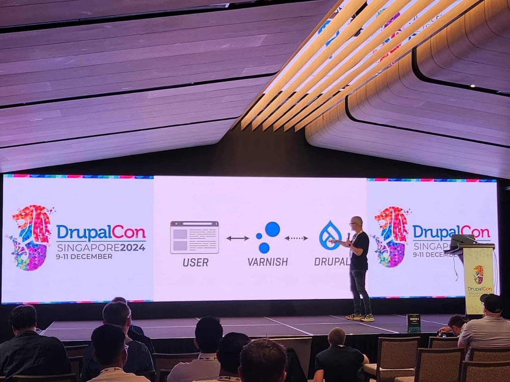 drupalcon_singapore_thijs_speaking