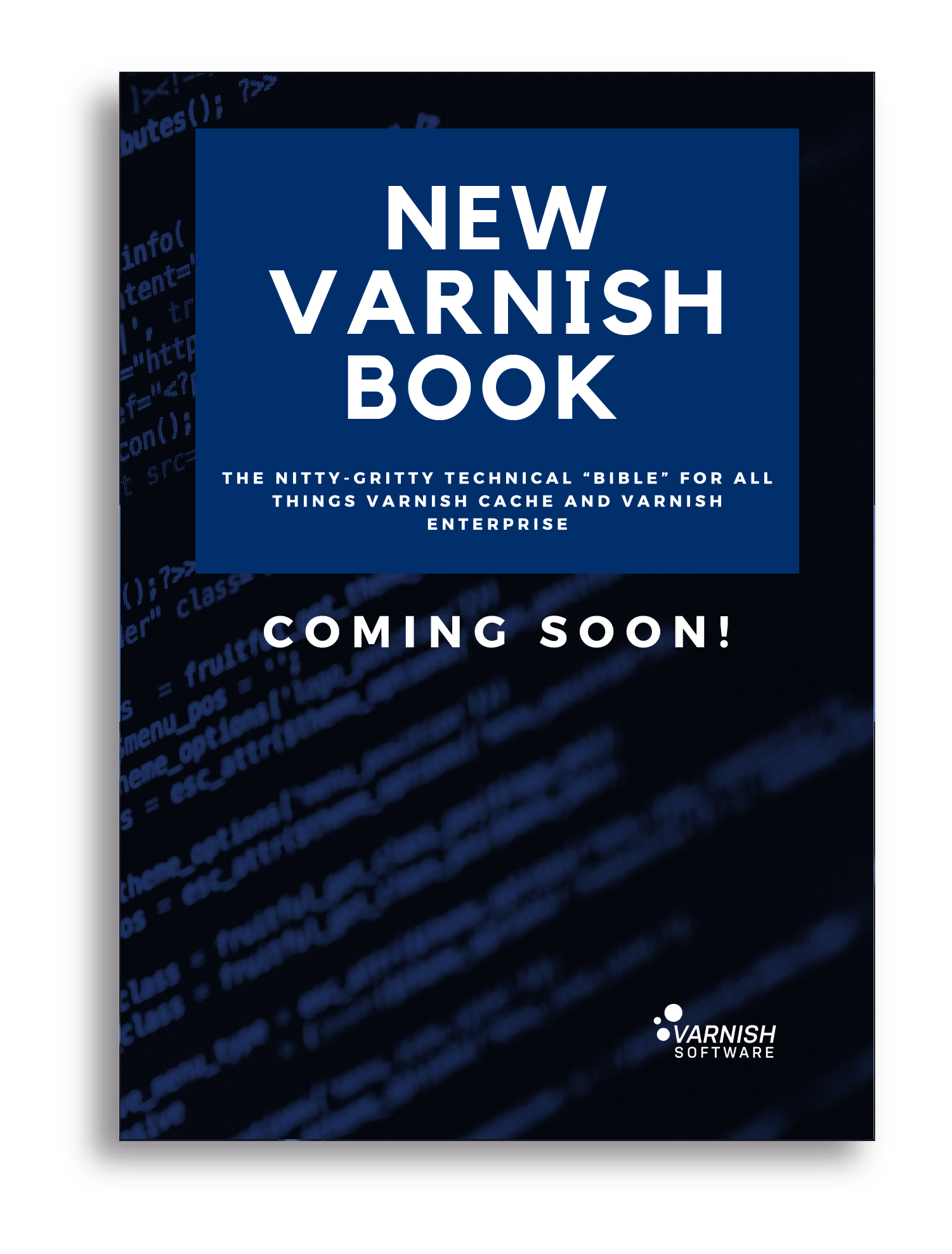 The Varnish Book 6 PreOrder